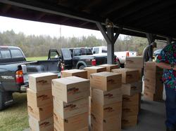 Birds to be Loaded into Skeet Houses