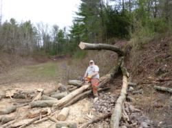 John Rutka cutting up a tree
